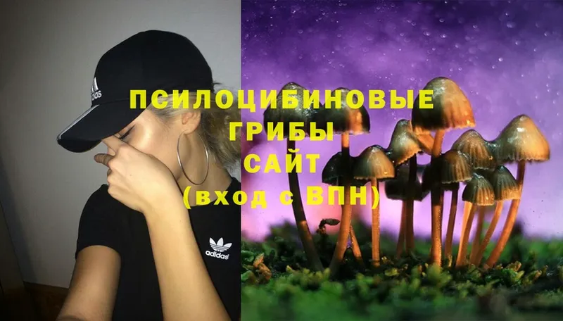 Галлюциногенные грибы Psilocybine cubensis Соликамск